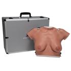 Modèle de palpation mammaire (avec valise de transport et planche murale incluses), 1000342 [L50], Education à la santé Femme