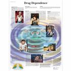 Drug Dependence, 4006726 [VR1781UU], Prévention drogues et alcools