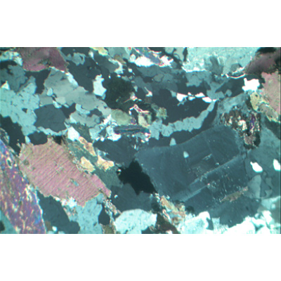 Lames minces de roches, petite sêrie I, 1012495, Petrography