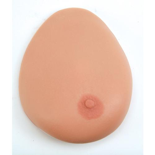 Modèle de palpation mammaire, trois seins sur un socle, 1000344 [L55], Education à la santé Femme