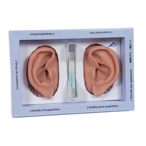 2 oreilles pour acupuncture, 1000373 [N15], Modèles ORL