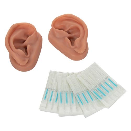 10 paires d' oreilles pour acupuncture, kit pour 10 étudiants,, 1000376 [N16], Modèles