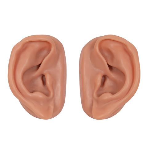 10 paires d' oreilles pour acupuncture, kit pour 10 étudiants,, 1000376 [N16], Modèles