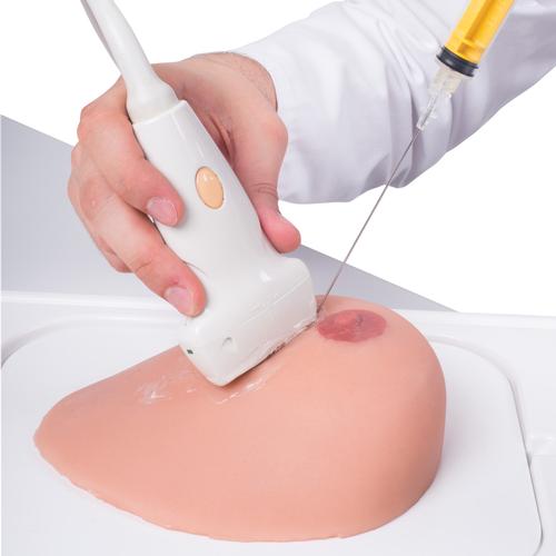 SONOtrain Modèle de sein avec kystes, 1019634 [P124], Ultrasound Skill Trainers