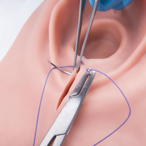 Simulateur d’incision du périnée et de sutures, 1019639 [P95], Sutures et bandages