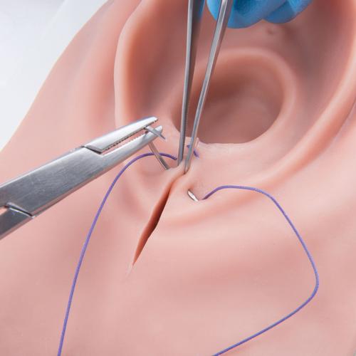 Simulateur d’incision du périnée et de sutures, 1019639 [P95], Sutures et bandages