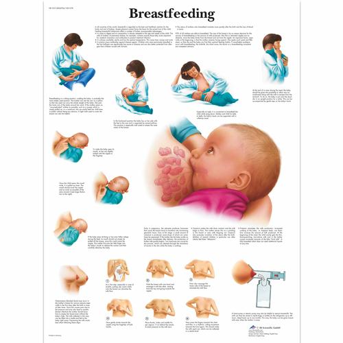 Breastfeeding, 1001578 [VR1557L], Grossesse et Naissance