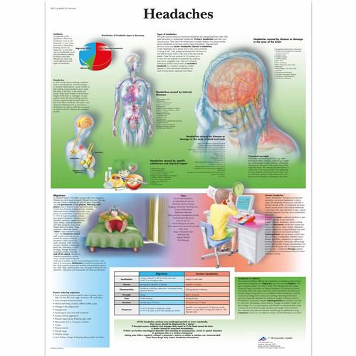 Headaches, 4006719 [VR1714UU], Cerveau et système nerveux