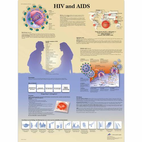 HIV and AIDS, 1001610 [VR1725L], Education à la Santé