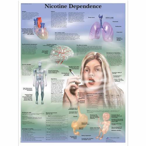 Nicotine Dependence, 4006728 [VR1793UU], Éducation Tabac