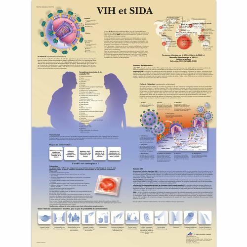 HIV et SIDA, 1001778 [VR2725L], Education à la Santé