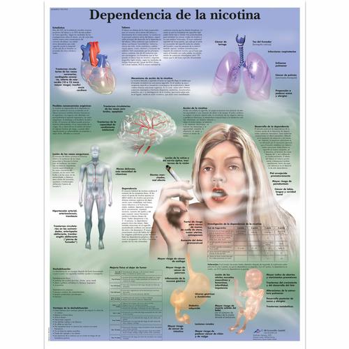 Dependencia de la nicotina, 1001955 [VR3793L], Éducation Tabac