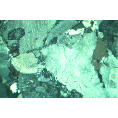 Lames minces de roches, petite sêrie II, 1012498 [W13455], Petrography