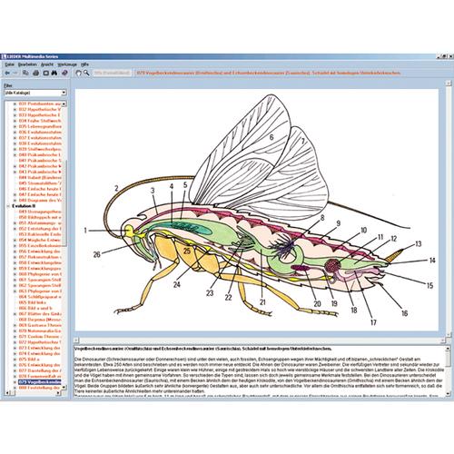 Le monde des insectes, CD-ROM, 1004291 [W13522], Logiciels de biologie