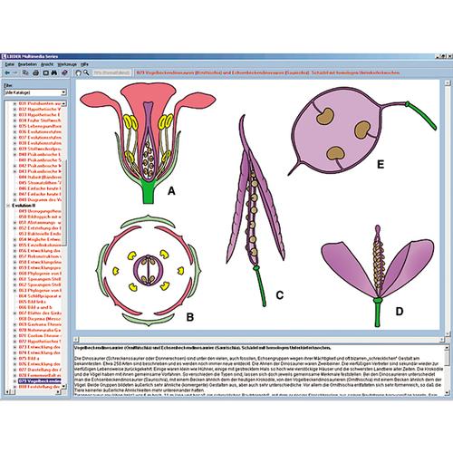 Biologie des fleurs et des fruits, CD-ROM, 1004295 [W13526], Logiciels de biologie