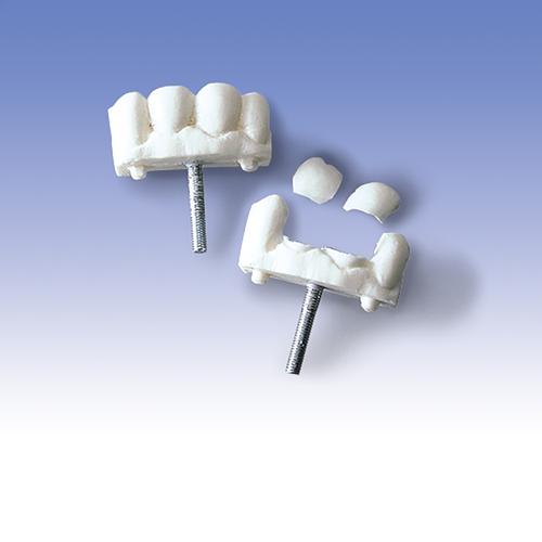 Dents antérieures, jeu composé de trois pièces, 1005397 [W30510], Consommables