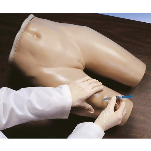 Simulateur d'injection IM, 1005586 [W44004], Intramusculaire (i.m.) et intradermique
