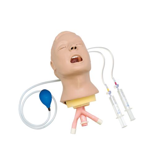 Tête d’entraînement à la prise en charge respiratoire du patient adulte, 1012740 [W99999-184], Réanimation adulte
