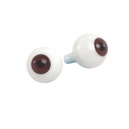 Paire d'yeux de rechange pour mannequin de soins, 1020704 [XP002], Pièces de rechange