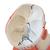 Musculature de la tête, en 5 parties - 3B Smart Anatomy, 1000214 [C05], Modèles de têtes (Small)