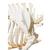 Squelette de porc (Sus scrofa domesticus), mâle, modèle prêparê, 1020998 [T300131m], Bétail (Small)