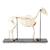 Squelette de cheval (Equus ferus caballus), femelle, modèle prêparê, 1021002 [T300141f], Bétail (Small)