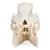 Crâne de porc (Sus scrofa domesticus), mâle, modèle prêparê, 1021001 [T300161m], Bétail (Small)