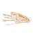 Tête de silure glane (Silurus glanis), modèle prêparê, 1020965 [T30030], Ichtyologie (poissonnier) (Small)