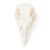 Crâne de poulet (Gallus gallus domesticus), modèle prêparê, 1020968 [T30070], Oiseaux (Small)