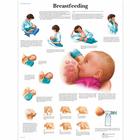 Breastfeeding, 1001578 [VR1557L], Grossesse et Naissance