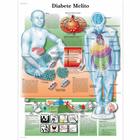 Diabete Melito, 1002167 [VR5441L], Système métabolique