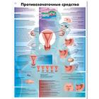 Медицинский плакат "Противозачаточные меры", 1002321 [VR6591L], Gynécologie

