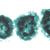 Algues - Français, 1003889 [W13012F], Préparations microscopiques LIEDER (Small)