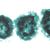 Algues - Espagnol, 1003891 [W13012S], Lames microscopiques Espagnol (Small)
