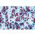 Angiospermes, cellules et tissus - Français, 1003909 [W13017F], Lames microscopiques Français (Small)