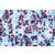 Angiospermes, cellules et tissus - Portugais, 1003910 [W13017P], Préparations microscopiques LIEDER (Small)
