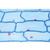 Angiospermes, cellules et tissus - Espagnol, 1003911 [W13017S], Lames microscopiques Espagnol (Small)