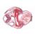 Embryologie de la grenouille (Rana) - Allemand, 1003948 [W13027], Préparations microscopiques LIEDER (Small)
