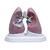 Jeu de poumons avec pathologies, 1018749 [W33371], Modèles de poumons (Small)